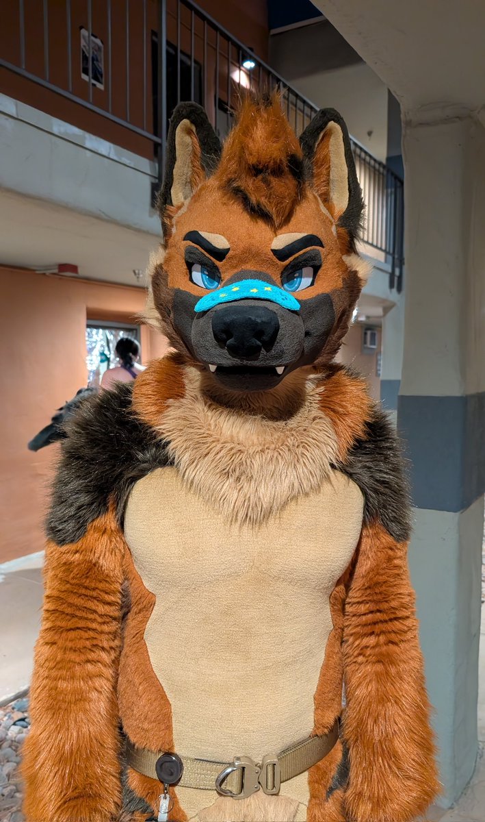 🩹☀️🌵Bandaid Roo!🌵☀️🩹➡️TFF, LVFC tweet media