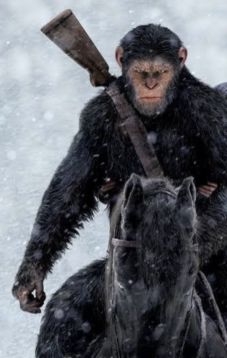 Mushi_Tori tweet media