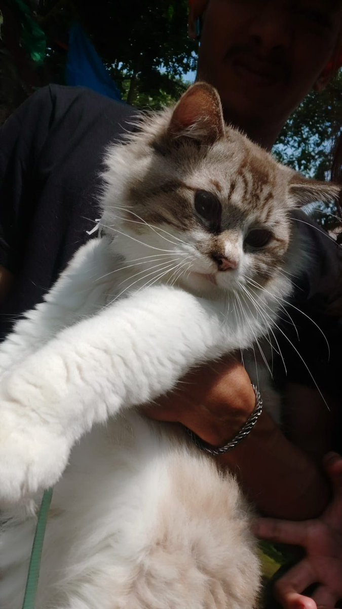 Unpadfess tweet media