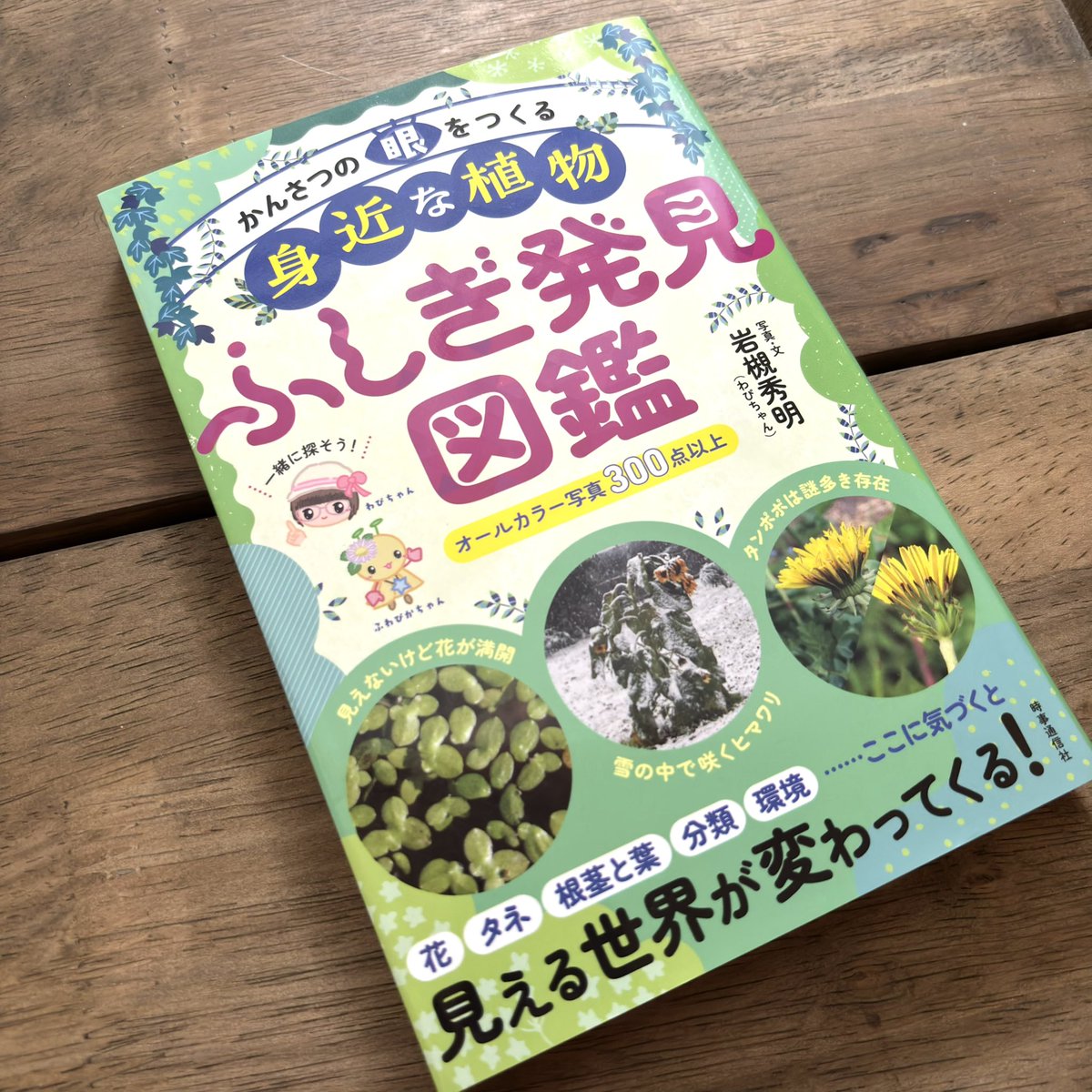 緑蔭堂 tweet media