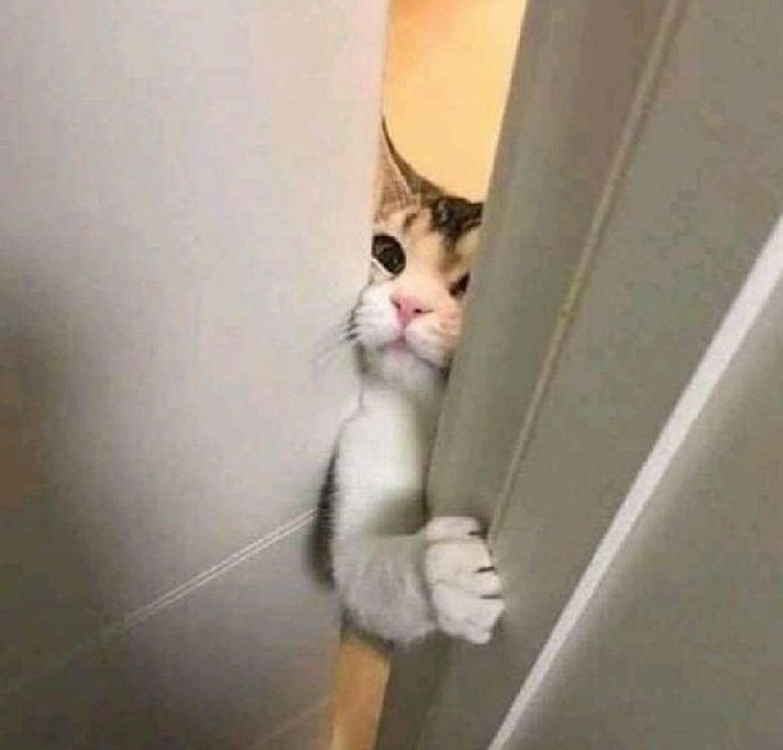 Ray Mond tweet media