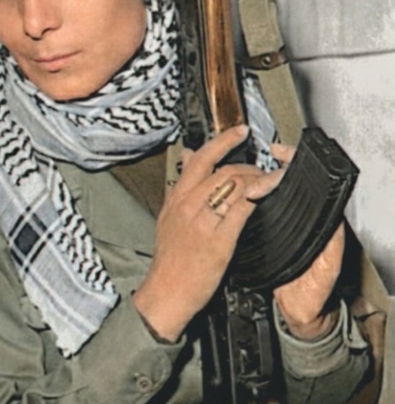 Salwa Najm tweet media