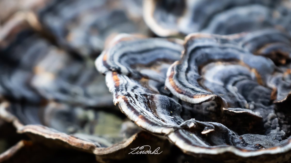 EveryBitBeautiful tweet media