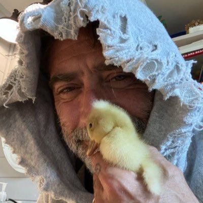 BeesEICS's tweet photo. #NewProfilePic https://t.co/siiE14Eb93