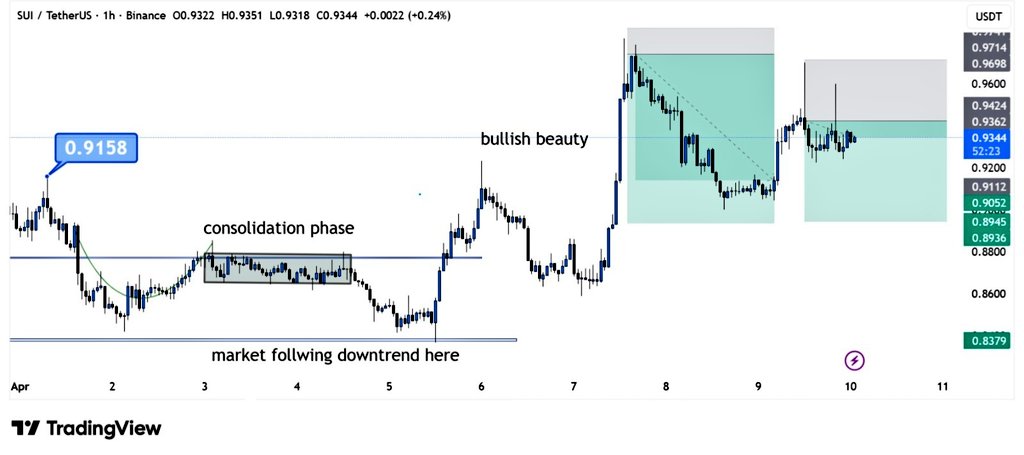 Bit_Rase tweet media