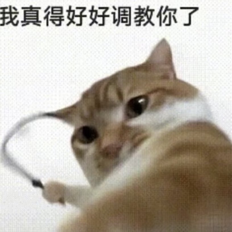 湿眠💦(自用梯子在简介 tweet media