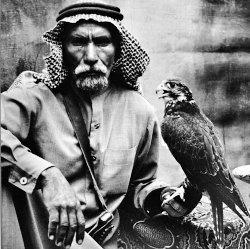 Qhta10ni's tweet photo. على النقا ماخنت طبعي ومبداي
صافي وقلبي لـ اكثر الخلق صافي https://t.co/ANVQHIIJPv