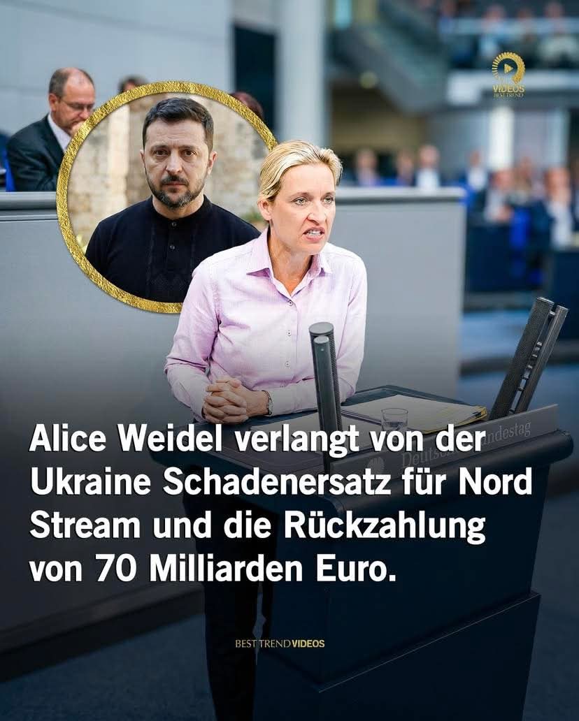 BlueThunderVII tweet media