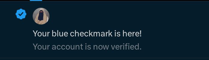 Maryam Shuaibu Aliyu tweet media