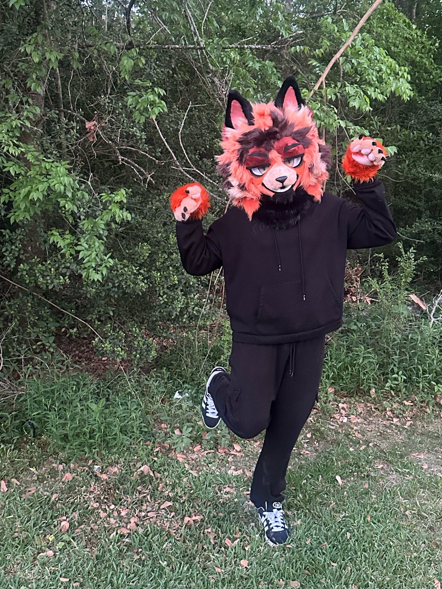 Zeno 🍊 🔜 fwa tweet media