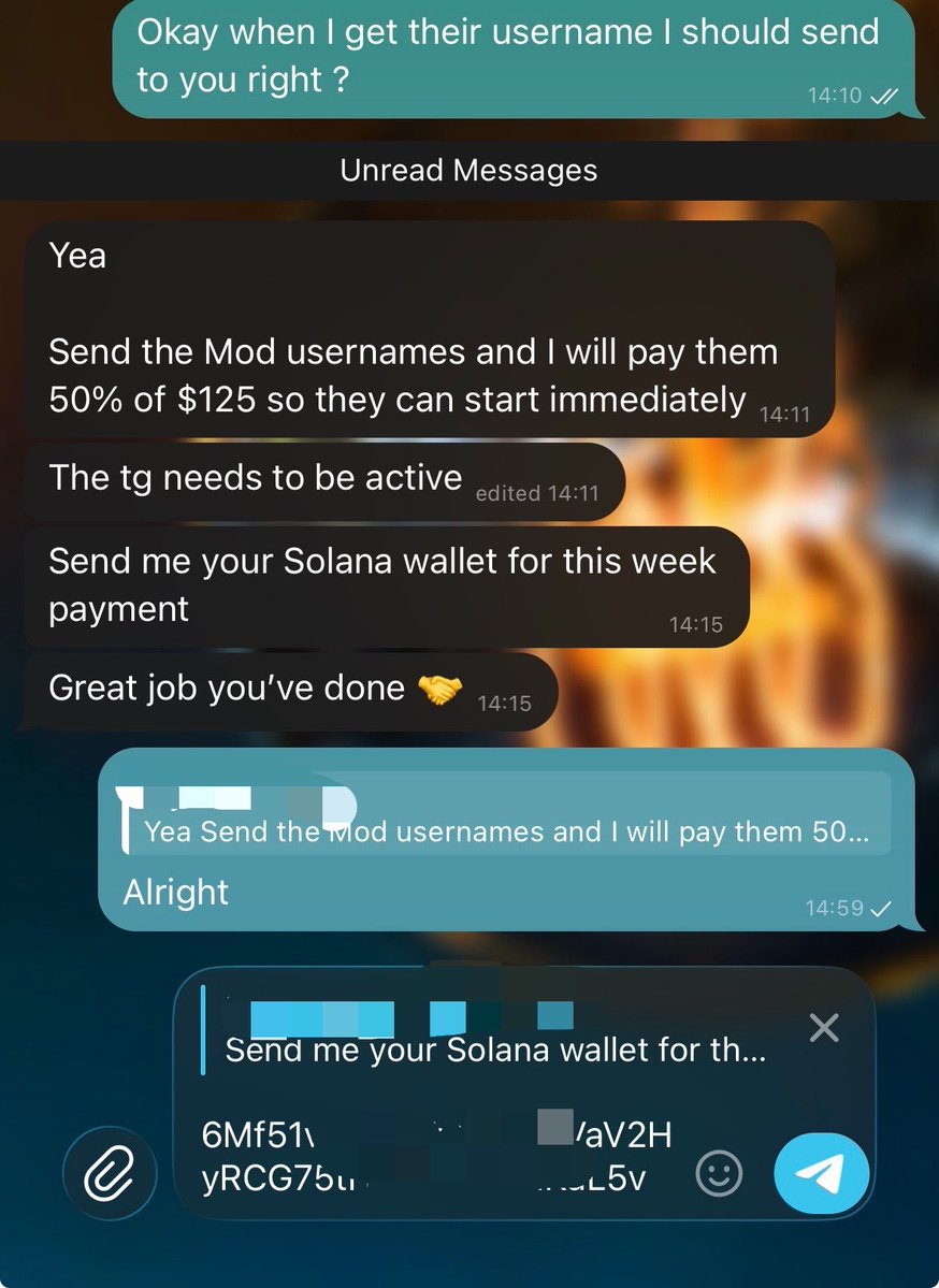 DEFIMAYOR tweet media