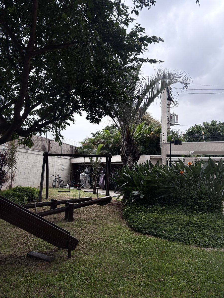 FX Xarpi tweet media