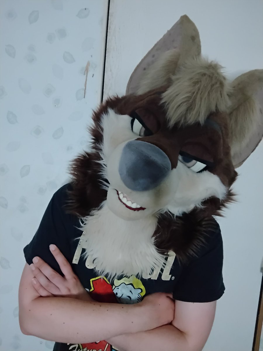 Rollin 🔜 ACFI tweet media