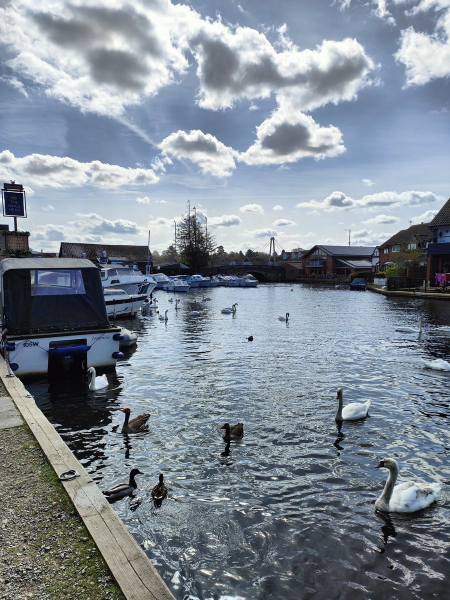 Matedwards7's tweet image. A last look at the river at Wroxham. Time to head home.
#Norfolk