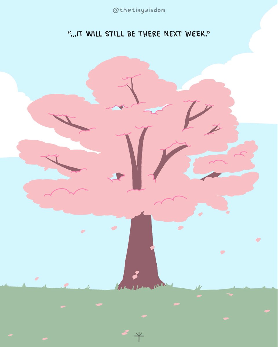 The Tiny Wisdom tweet media