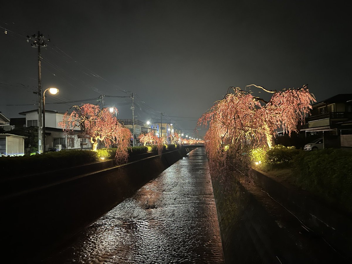 じゅんじゅん♪ tweet media