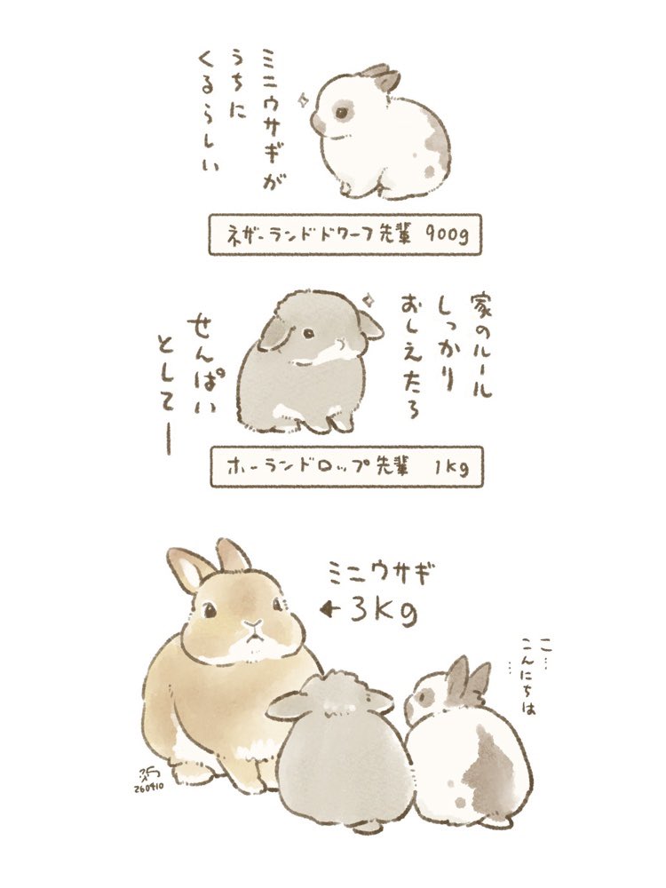 大賀一五🐰うさ本新刊5月発売! tweet media