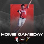 Photo by Martin Luther College Baseball (@MLCBSBL)
