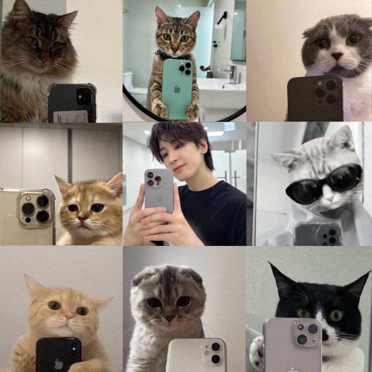 전세구함 tweet media