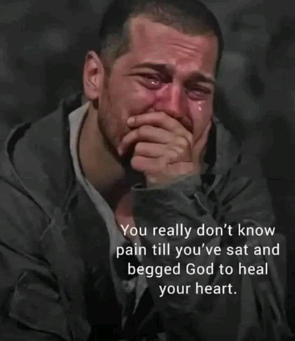 Mindful Maven tweet media