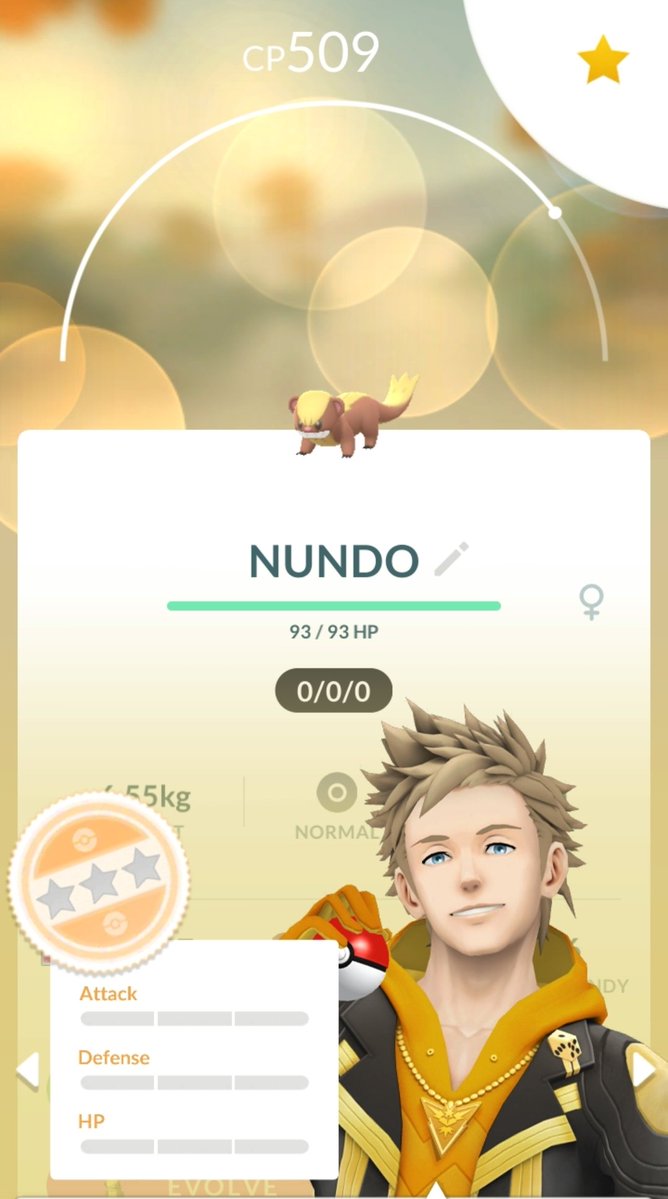 NarGaar001's tweet image. Caught my 13th Nundo during a 30 min Sunsteel Strike session at home! 💯
#pokemon #pokemongo #nundo