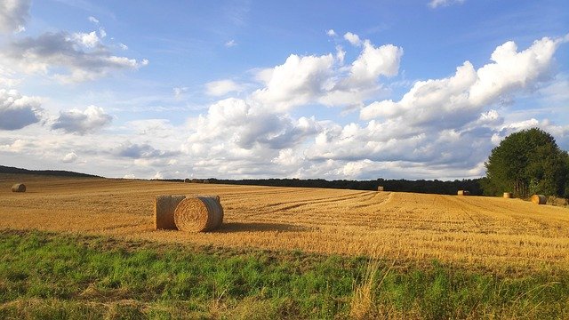 Corey Latimer tweet media