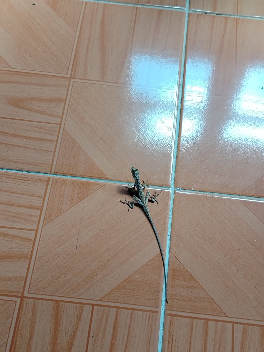 Mooixx84's tweet photo. Miniaturas en un mundo tan bello, vasto y extenso. https://t.co/elYeKbggMm