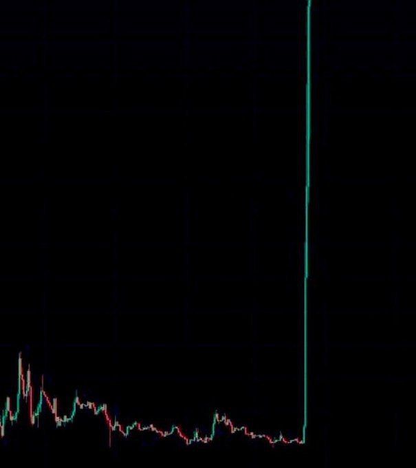 Vibes 🖤 tweet media