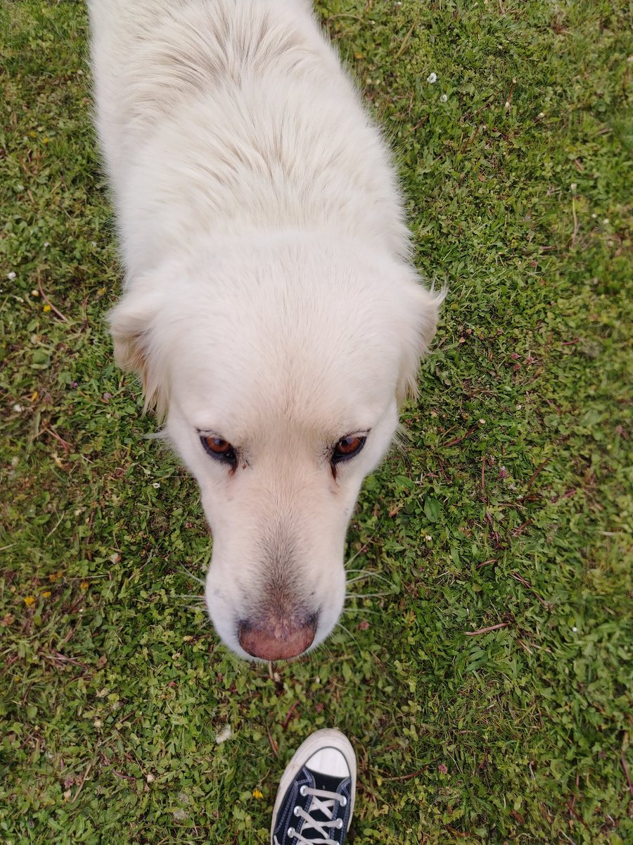 l8zynol3's tweet image. finally touched some grass
#greengreenlife #healthy #naturelover #air #freedom #grass #greengreen