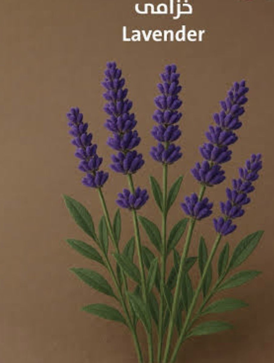 كويتية حره💙💙 tweet media