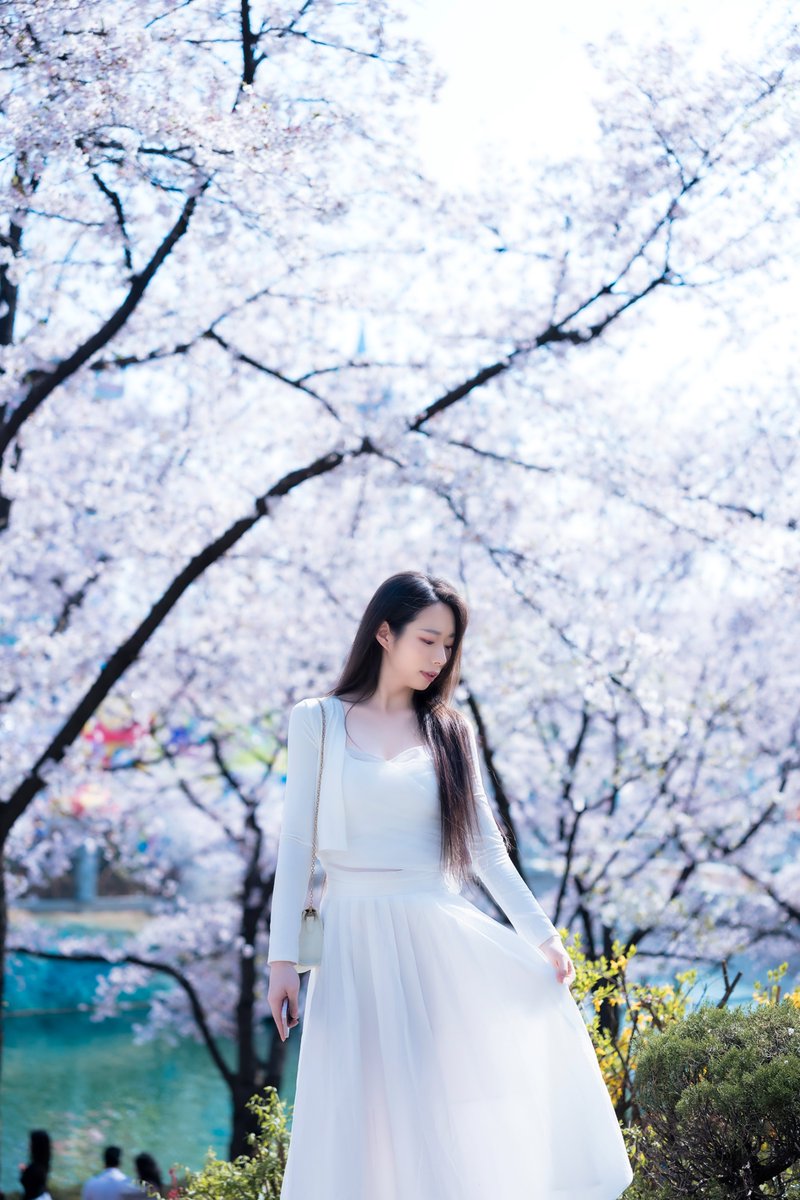 Nyacheong(냥청) tweet media