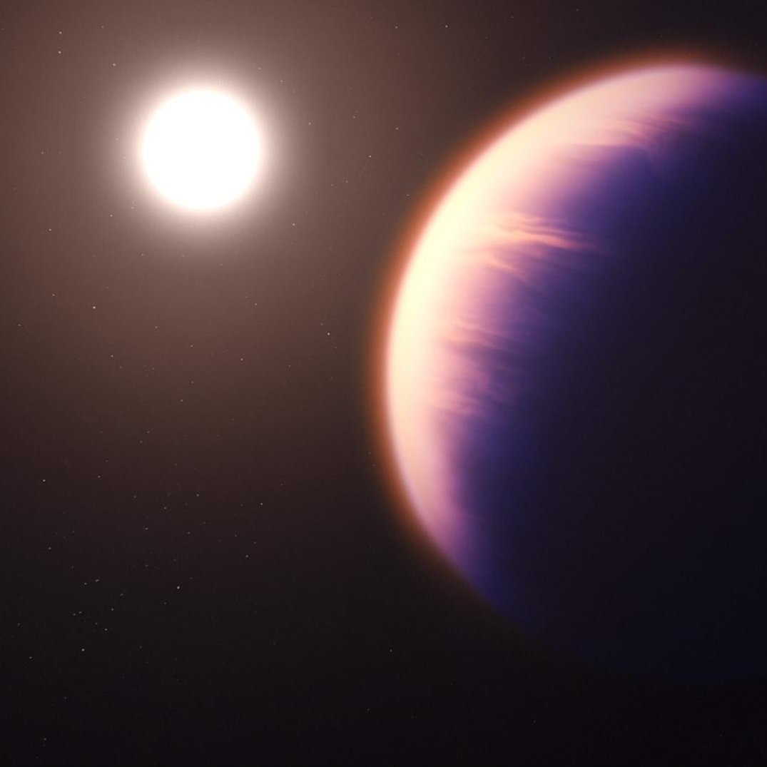 Neural Space tweet media