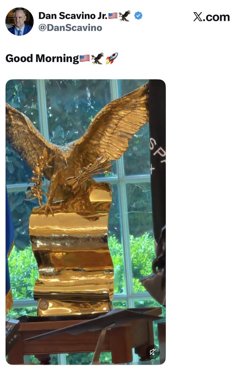 True Stormy Joe tweet media