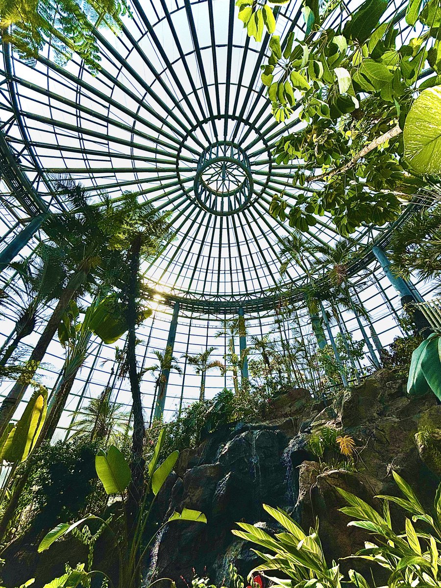 tak24302's tweet photo. 🍏BOTANICA MUSEUM💐
#chiba https://t.co/uGvtIbUgah