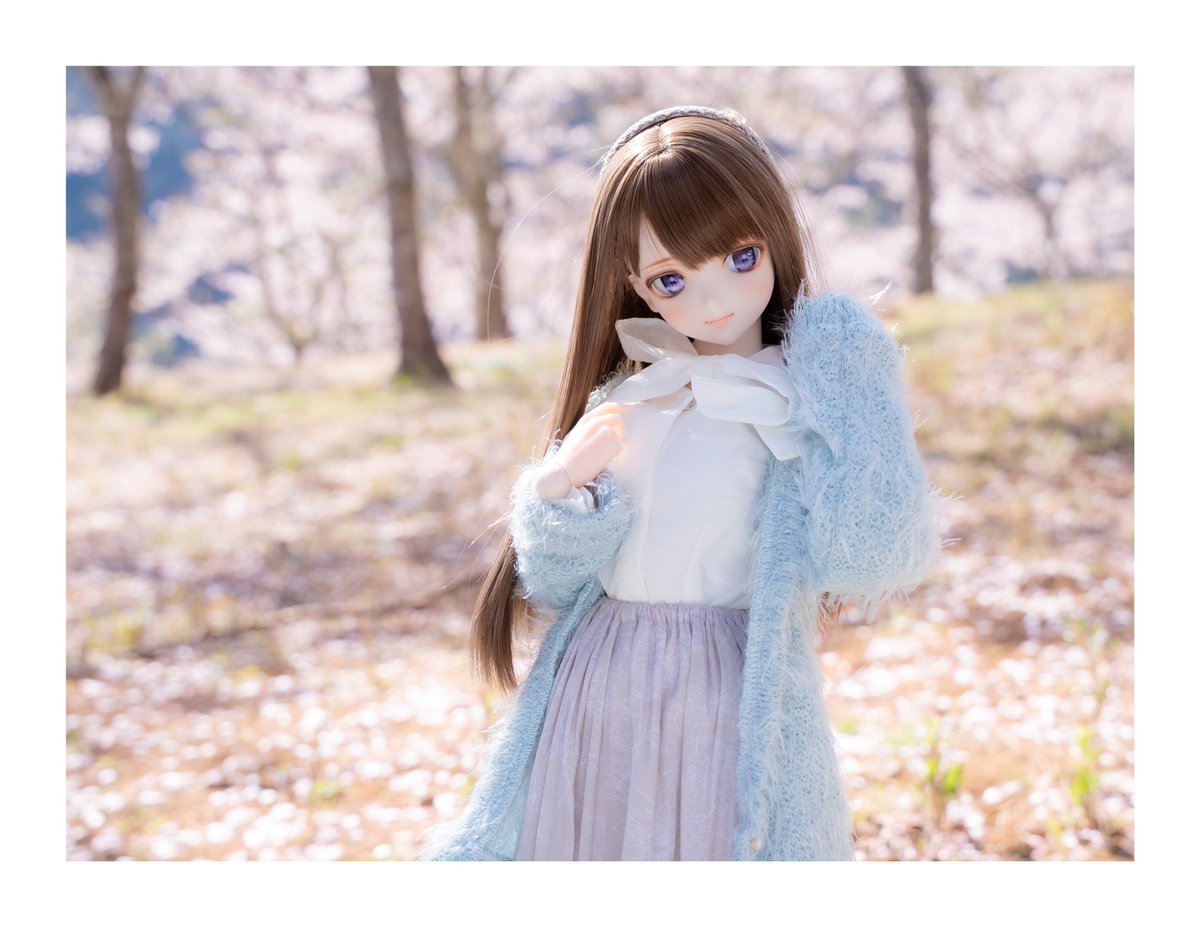 金ちゃん❀Kaleidoll (@haze_xxx) / Posts / X