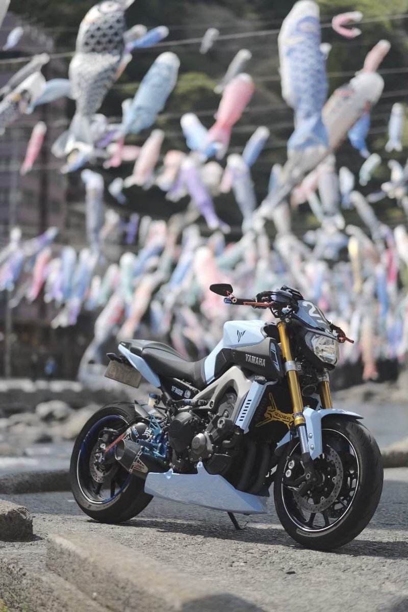 🐻【くま】 tweet media