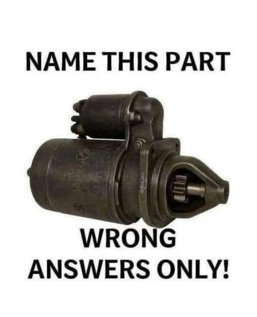 Elizabeth❣️ tweet media