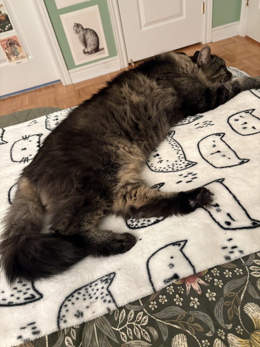 thicctheo's tweet image. guy who is flatly but doesn’t know he’s going to be forgor soon :( #fff flat forgor friday