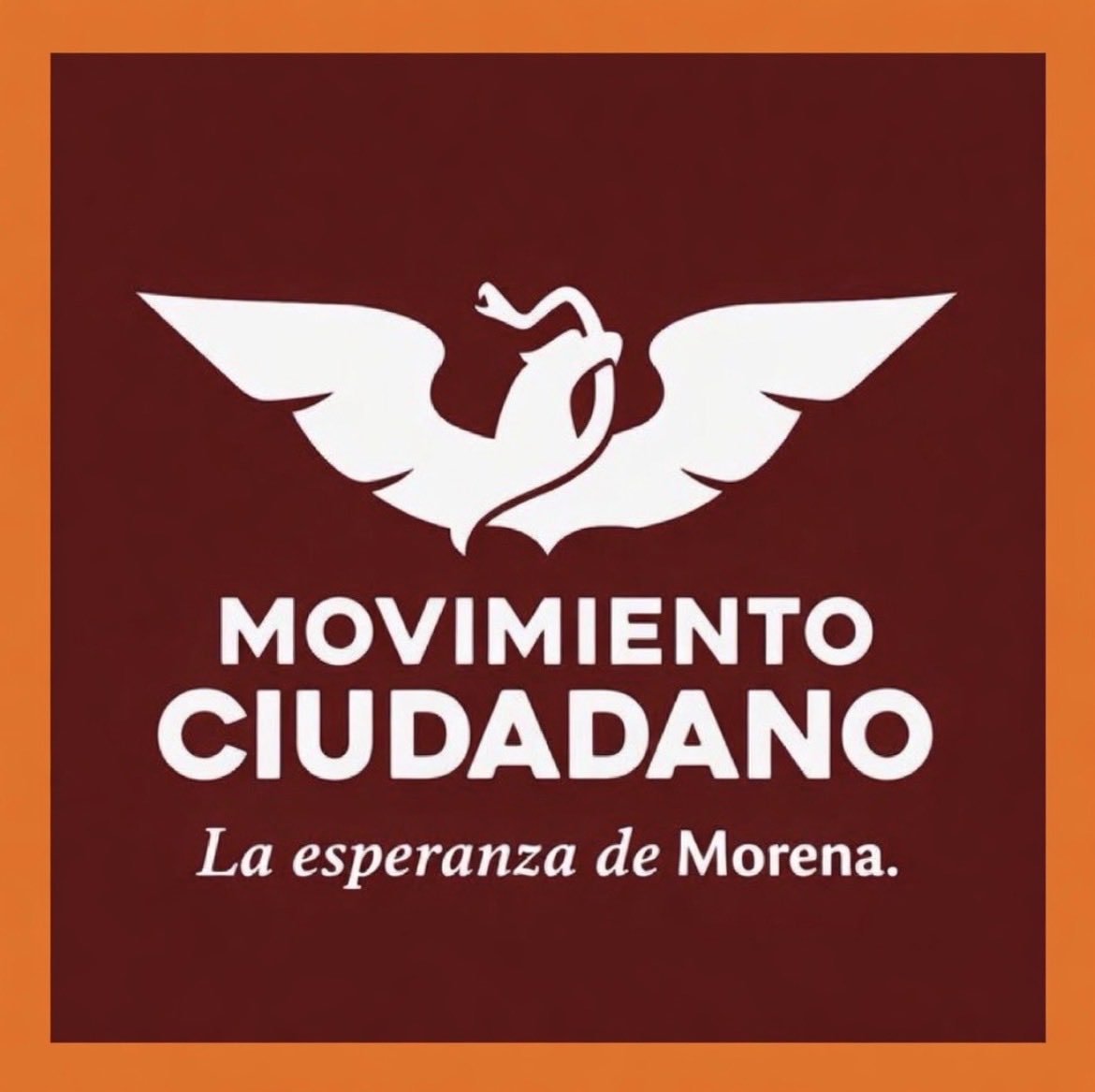 LetyMaldo tweet media