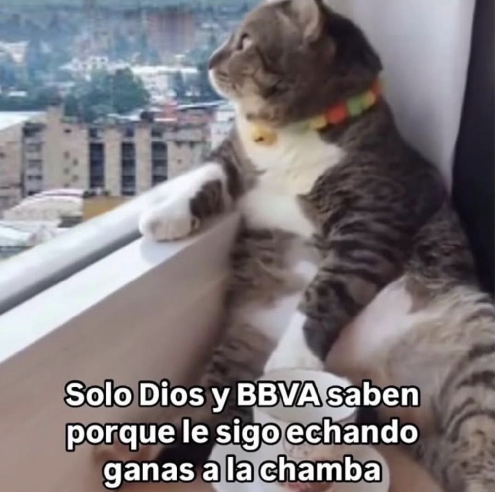 El Guarromántico tweet media