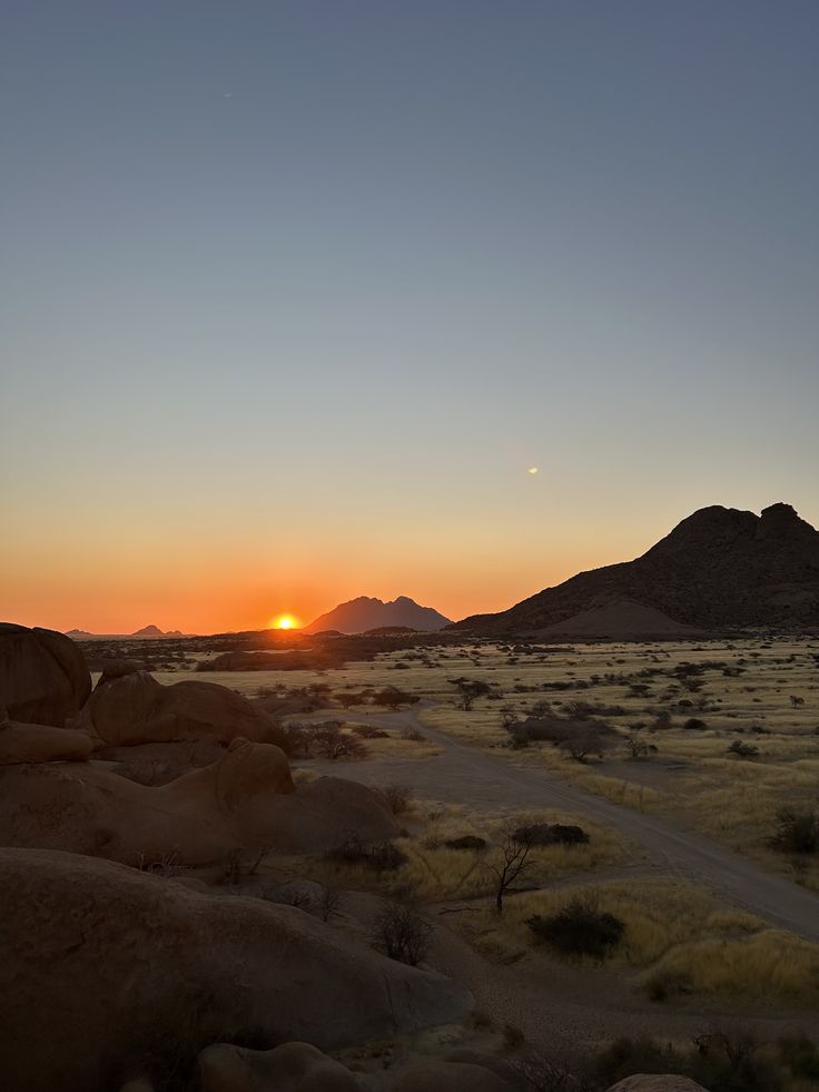 Penny RealEstate tweet media