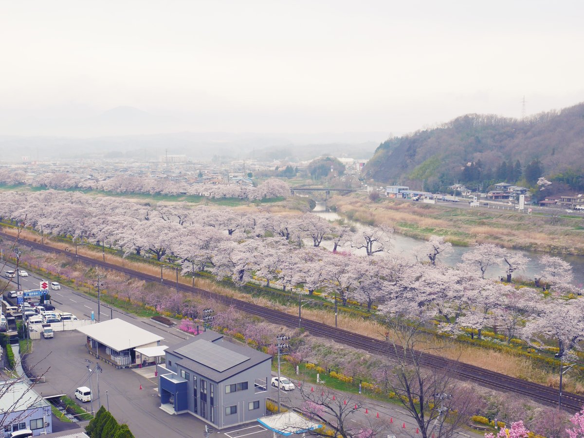yumika tweet media