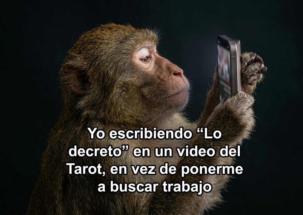 angelo_uf's tweet photo. https://t.co/b8xMhMqIyx