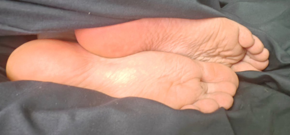 Cooki3 🐀 tweet media