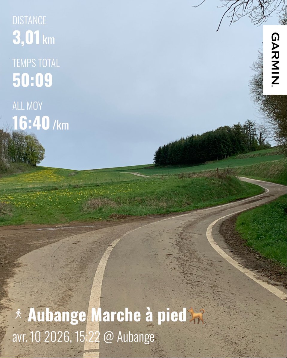 Didier FLECHE 🇧🇪🏊‍♂️🚴‍♂️🏃🏻‍♂️ (@flechedidier) on Twitter photo 