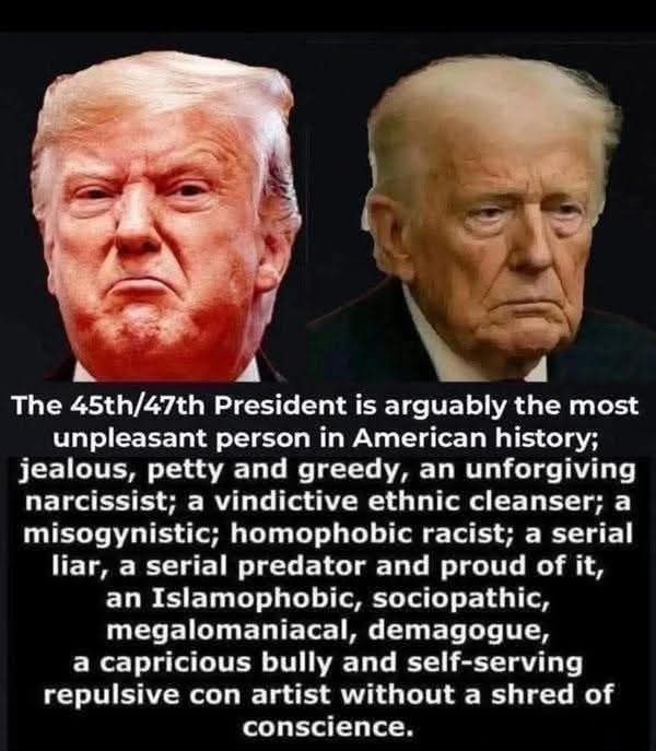 Ruth 'Never Tory or SnakeStarmer' 🌹 tweet media