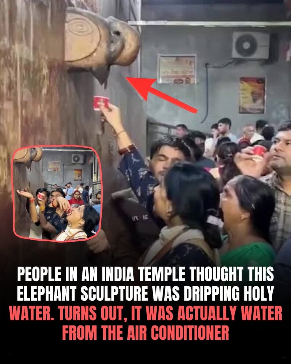 The World R🅰️nking tweet media