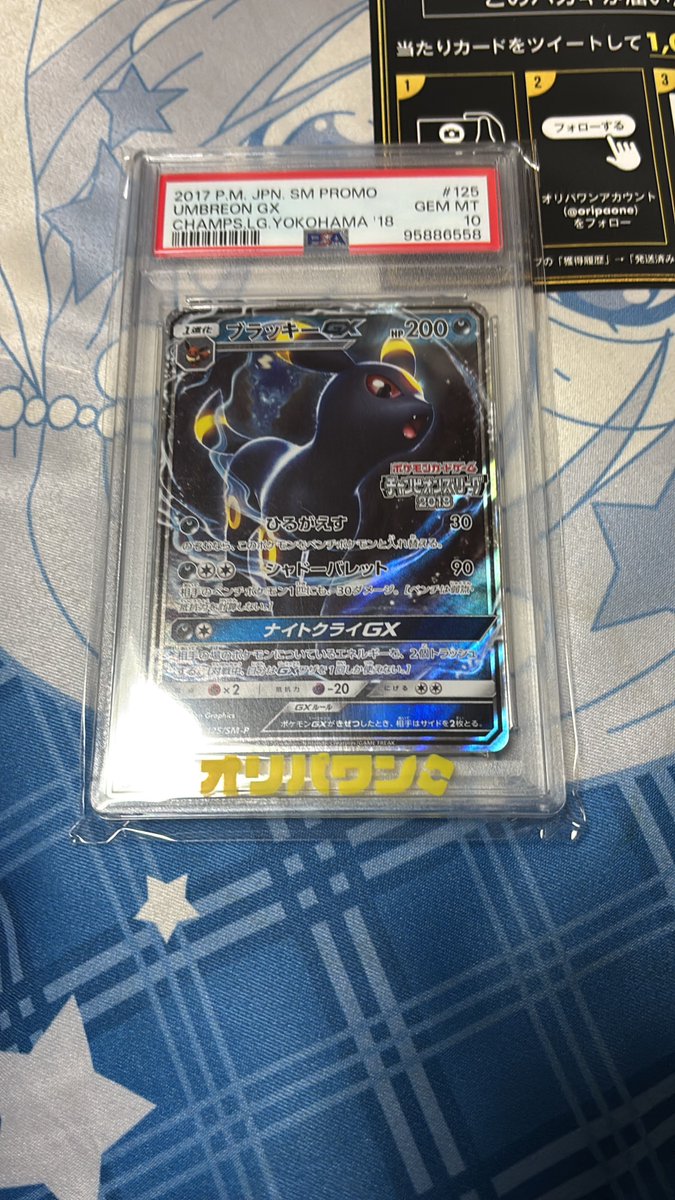 オリパワン（<a href="/oripaone/">オリパワン🥇CM公開中🔥新規登録で300コイン🎁</a>）しか勝たん！

ブラッキープロモPSA10が当たりました！

#オリパワン当選報告