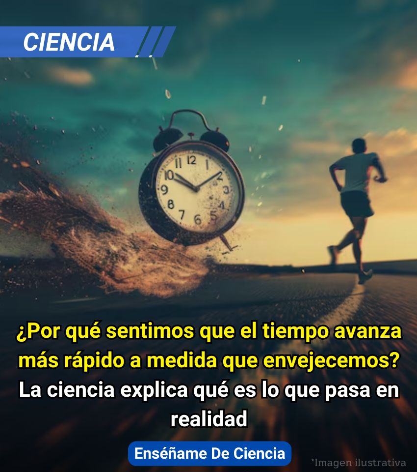 EnsedeCiencia's tweet photo. 🚨Expertos han señalado que el paso del tiempo modifica la forma en la que el cerebro «registra» los días. Durante la adultez, es posible sentir que las semanas son todas iguales, que los estímulos se repiten y las emociones dejan de ser igual de intensas. Como resultado, la percepción se comprime y los meses van pasando sin dejar huellas en la memoria.