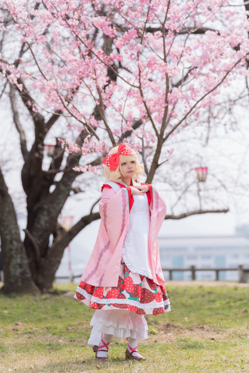 あい@4/12福知山お城まつり tweet media